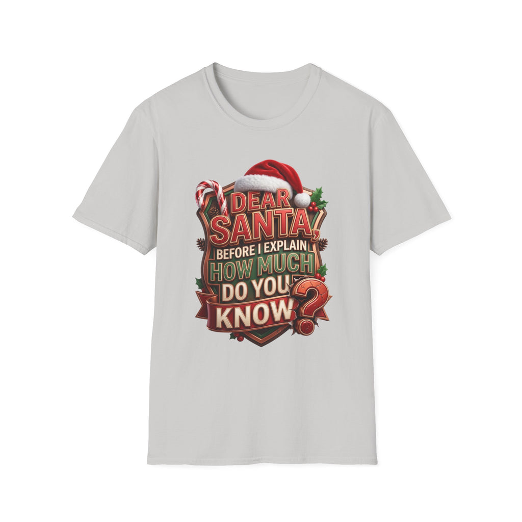 Dear Santa Before I Explain print on the front of an Ice Grey t-shirt, laid flat on white