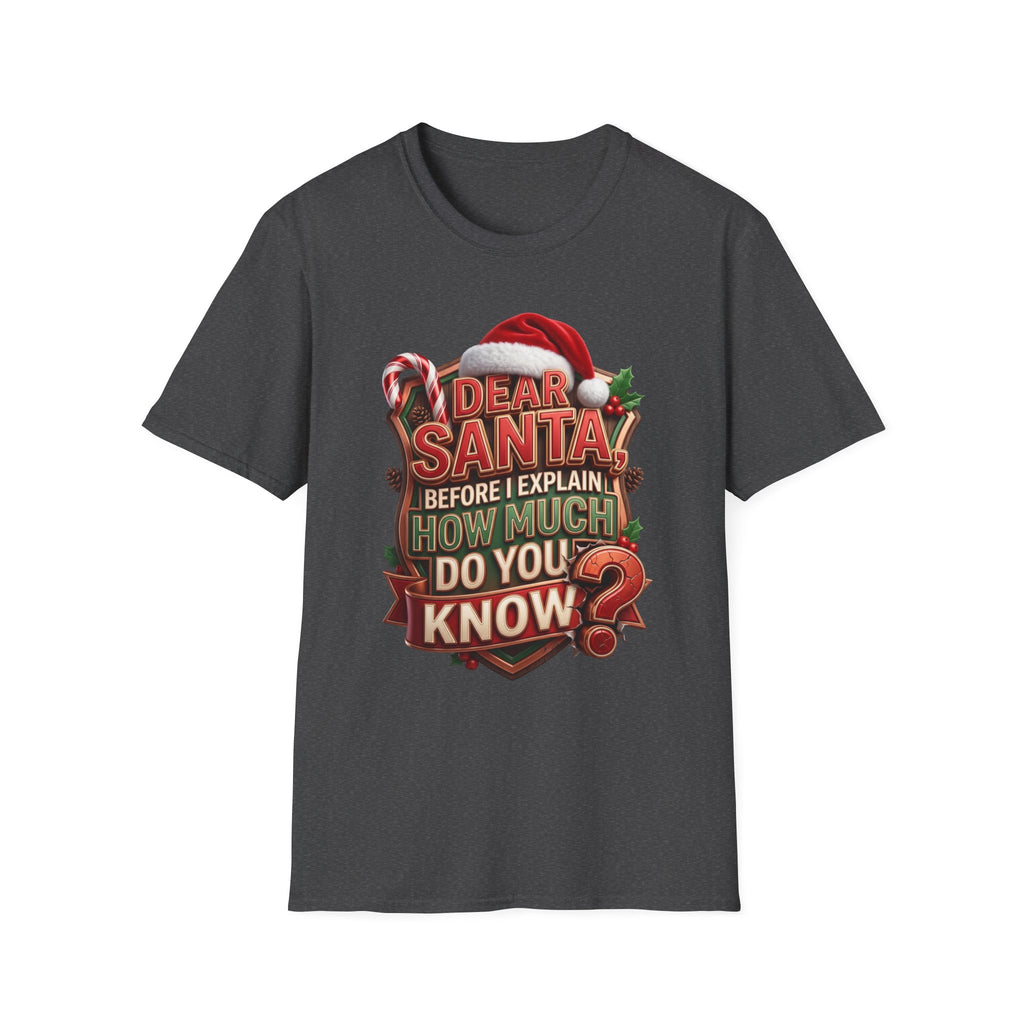Dear Santa Before I Explain print on the front of a Dark Heather t-shirt, laid flat on white
