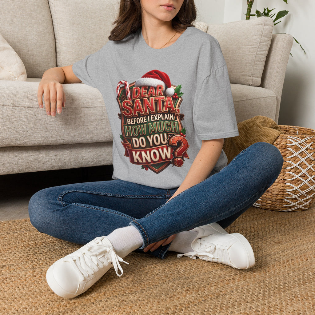 Dear Santa Before I Explain t-shirt in Sport Grey, worn by a woman seated on a rug