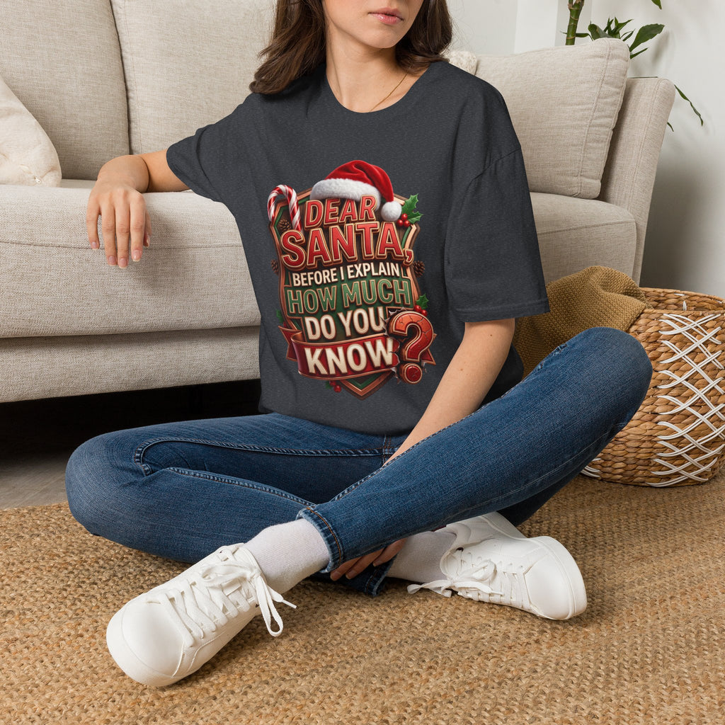 Dear Santa Before I Explain t-shirt in Dark Heather Grey, worn by a woman seated on a rug