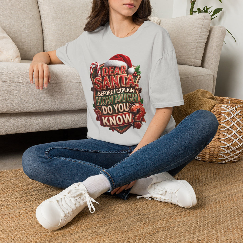 Dear Santa Before I Explain t-shirt in Ice Grey, worn by a woman seated on a rug